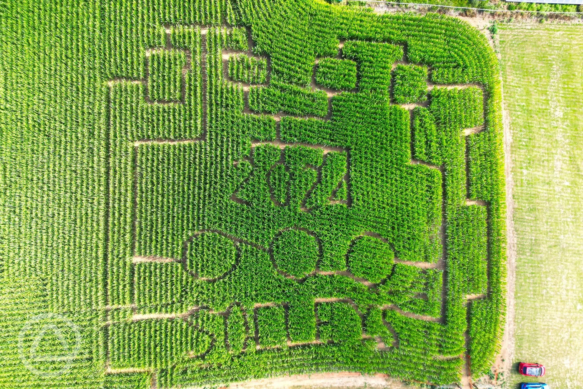 Aerial of Solley's maize maze open in late summer