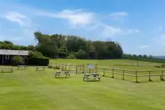Main field with outdoor seating and the paddock behind, surrounded by trees