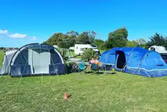 Electric grass pitches (main field)