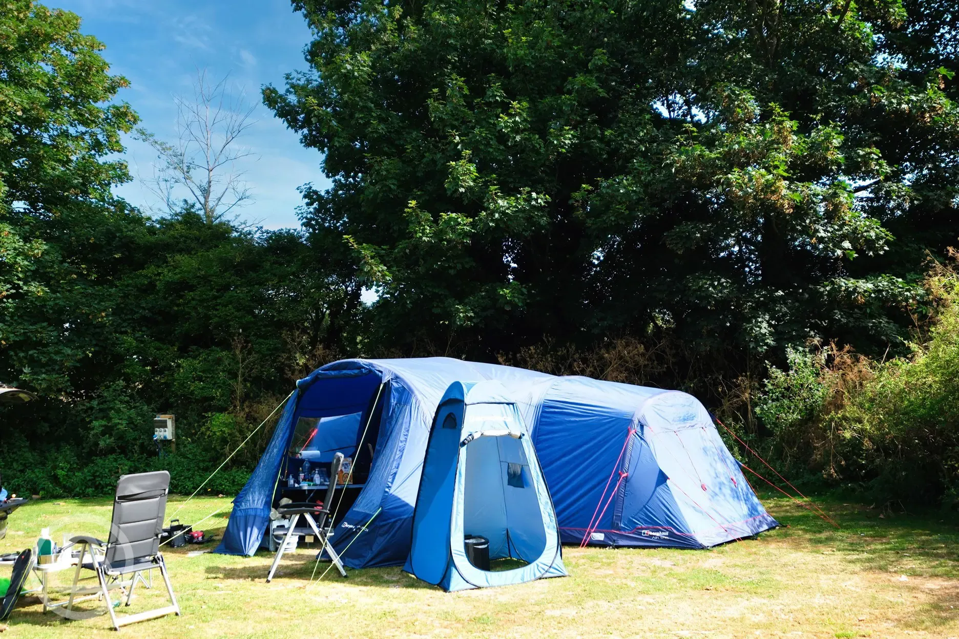 Electric grass pitches (the paddock) surrounded by trees