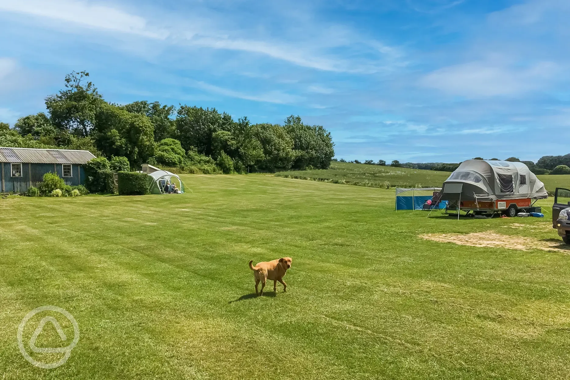 Electric grass pitches (outer field and main field), pitches are dog friendly