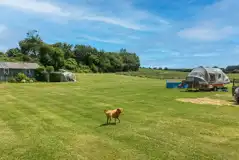 Electric grass pitches (main field)