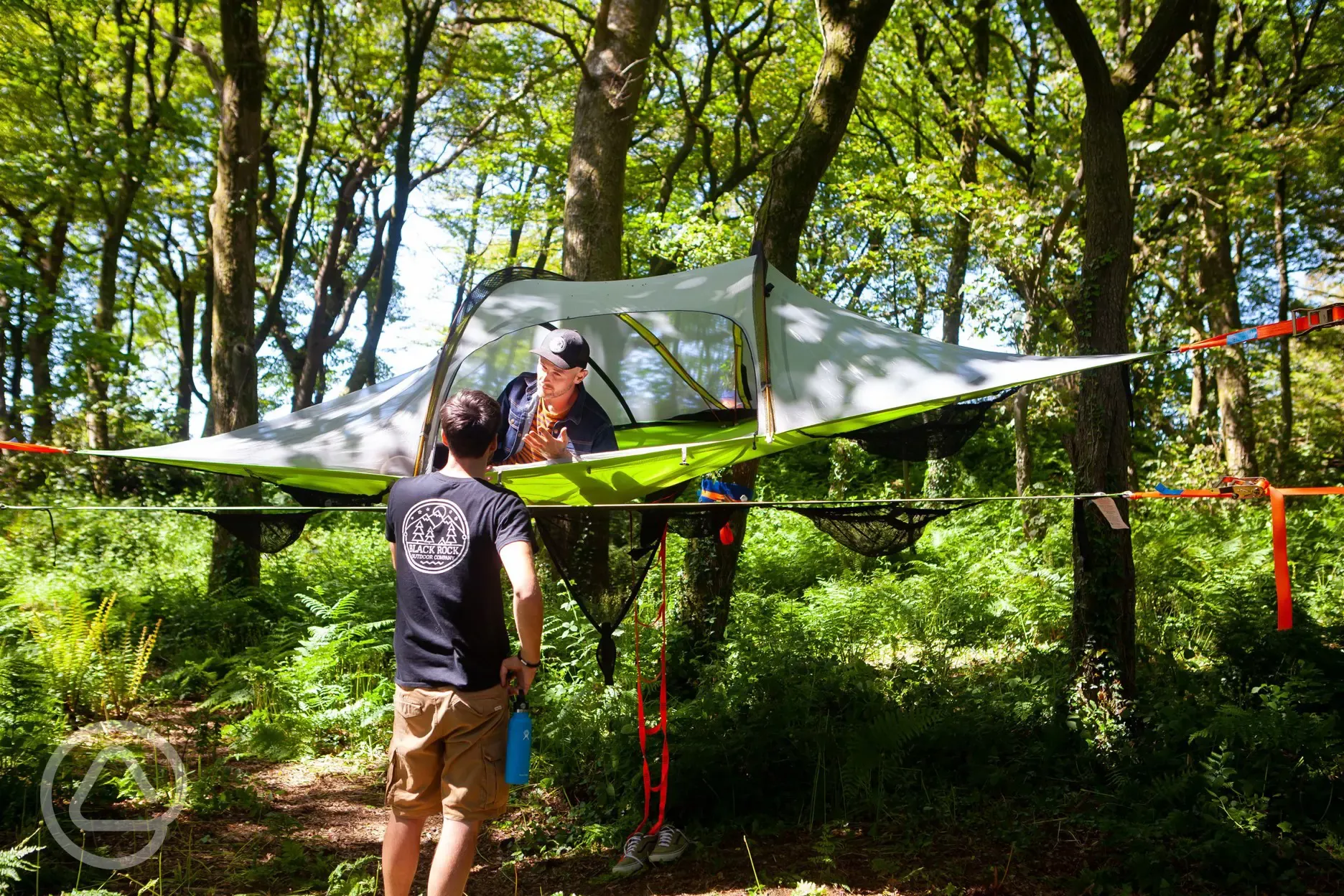 Tree pitches with ready tent