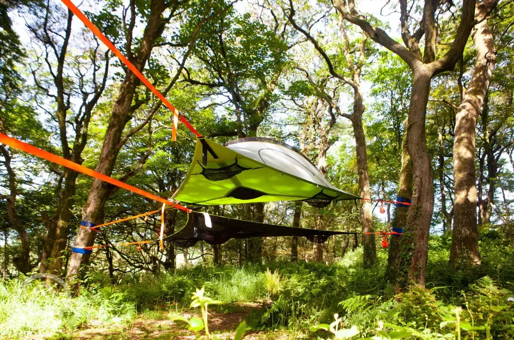Tree pitches with ready tent