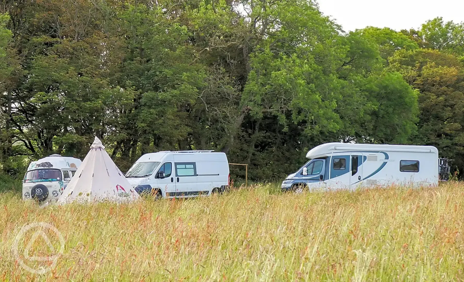 Meadow non electric pitches