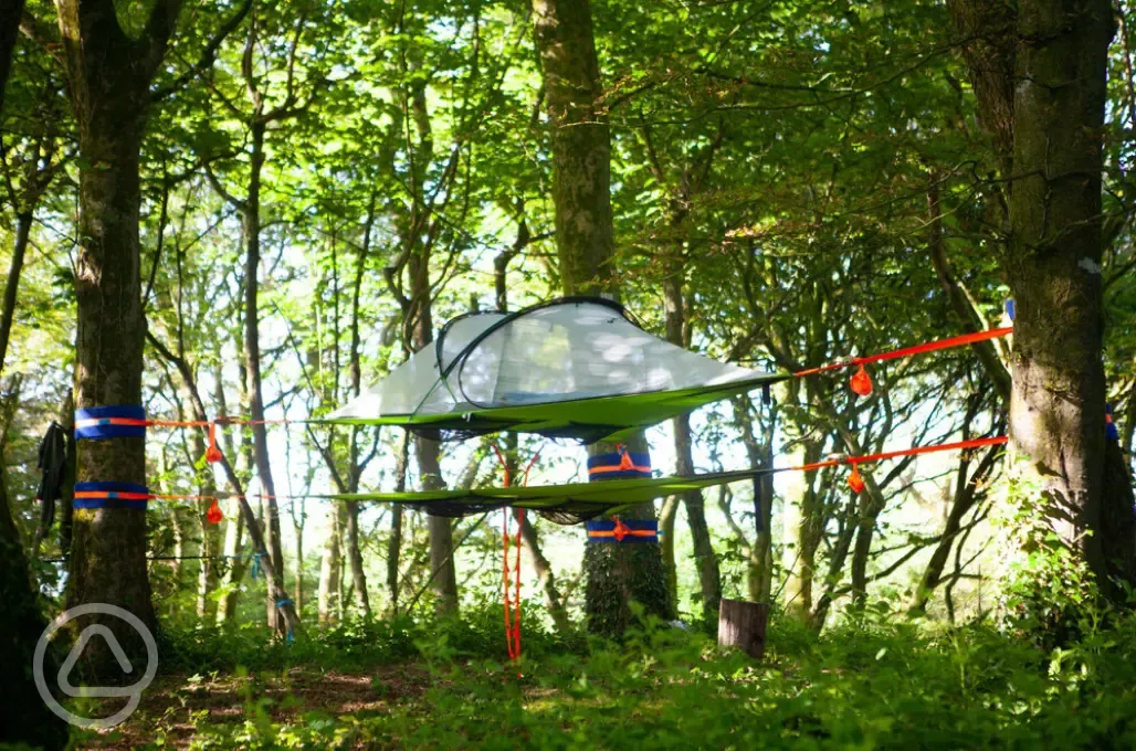 Tree pitches with ready tent
