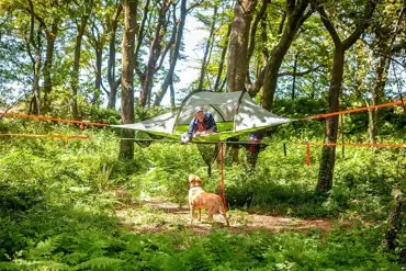 Tree pitches with ready tent