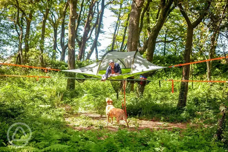 Tree pitches with ready tent