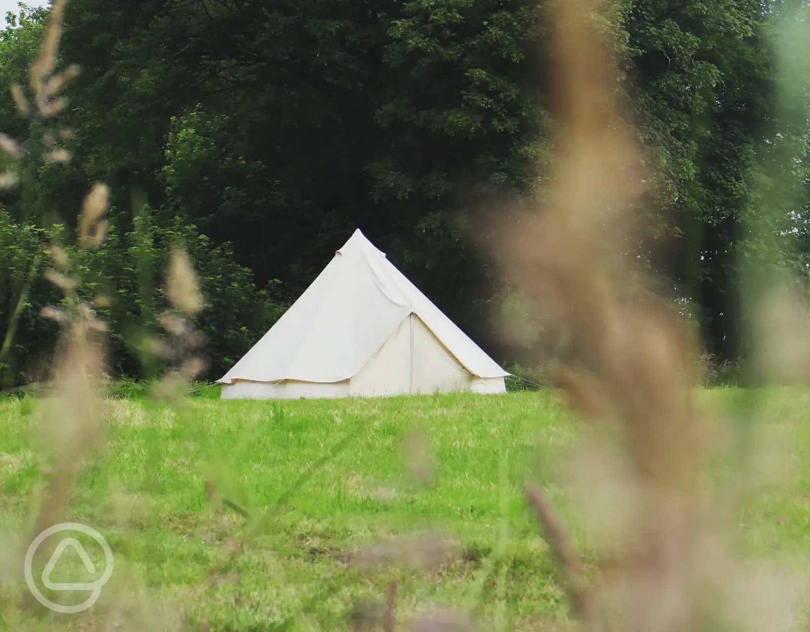 Meadow non electric pitches
