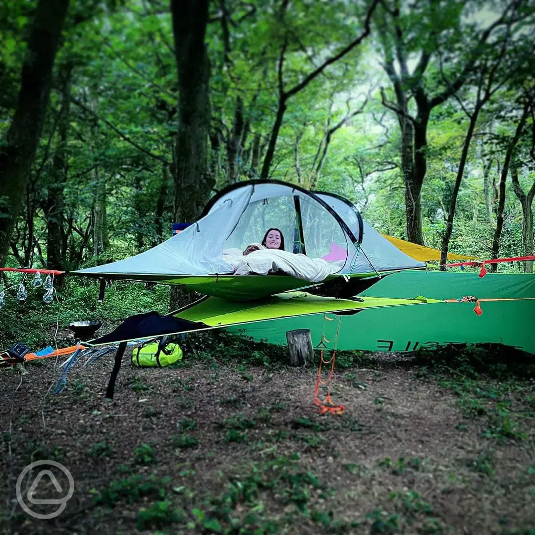 Tree pitches with ready tent