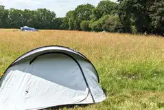 Unallocated grass tent pitches