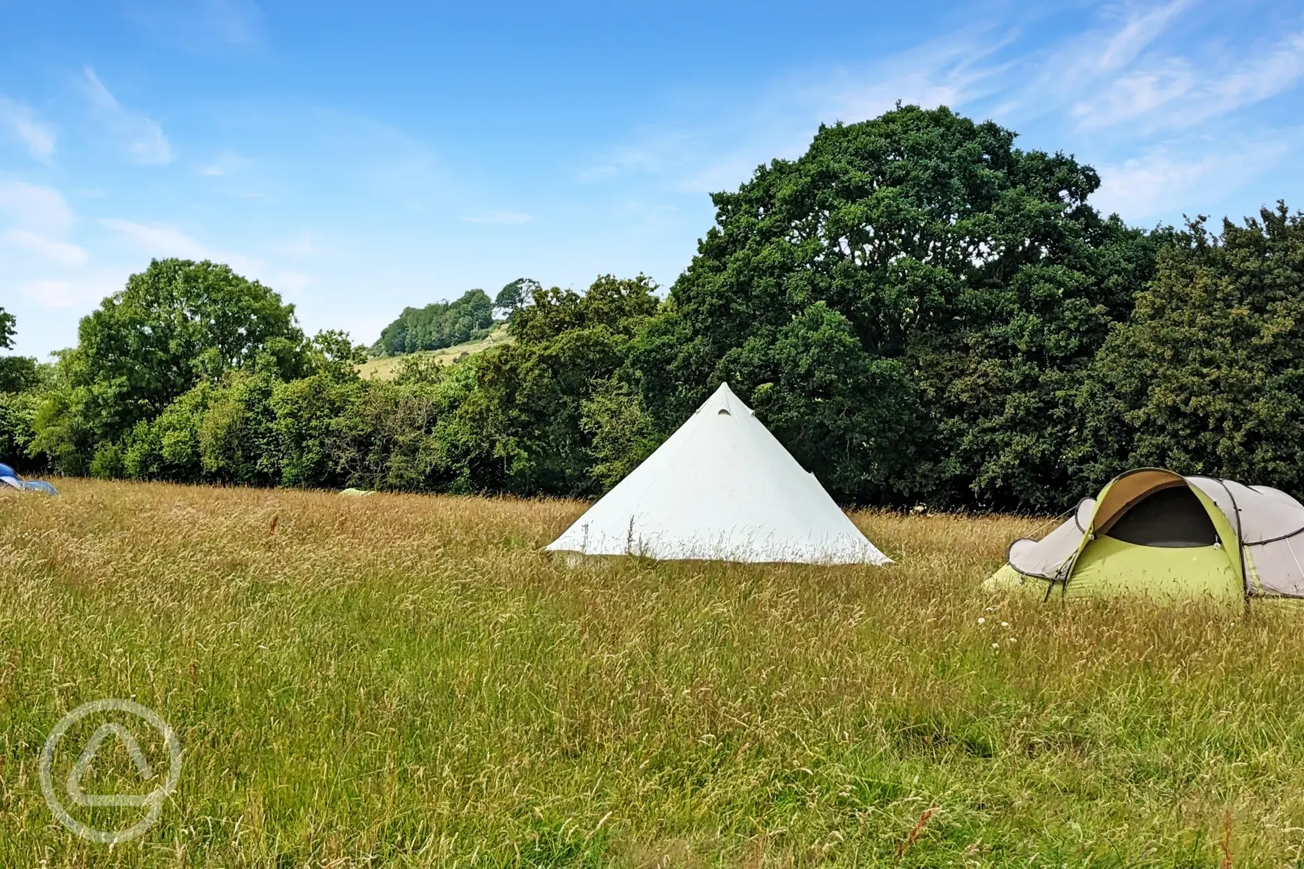 Grass pitches