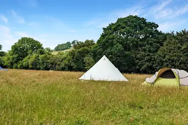 Unallocated grass tent pitches