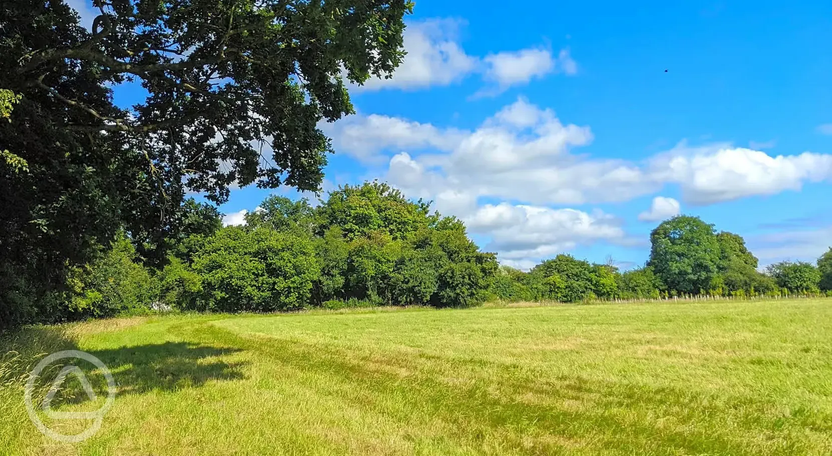 Grass pitches