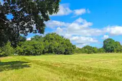 Unallocated grass tent pitches