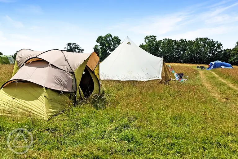 Unallocated grass pitches at North Down Orchard
