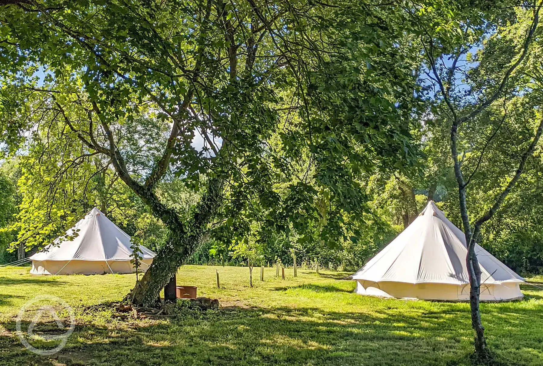 Bell tents 