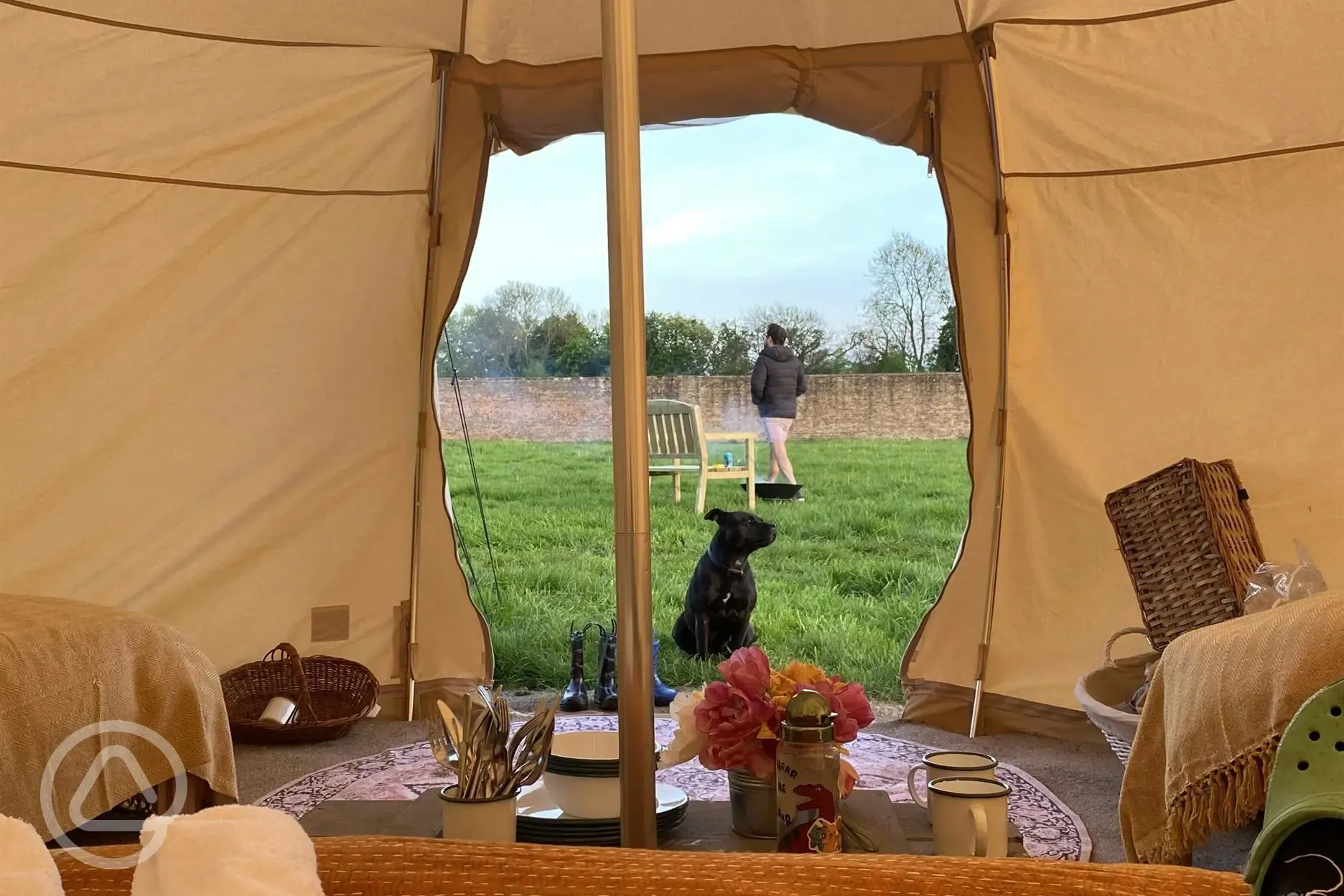 Two tents are dog friendly