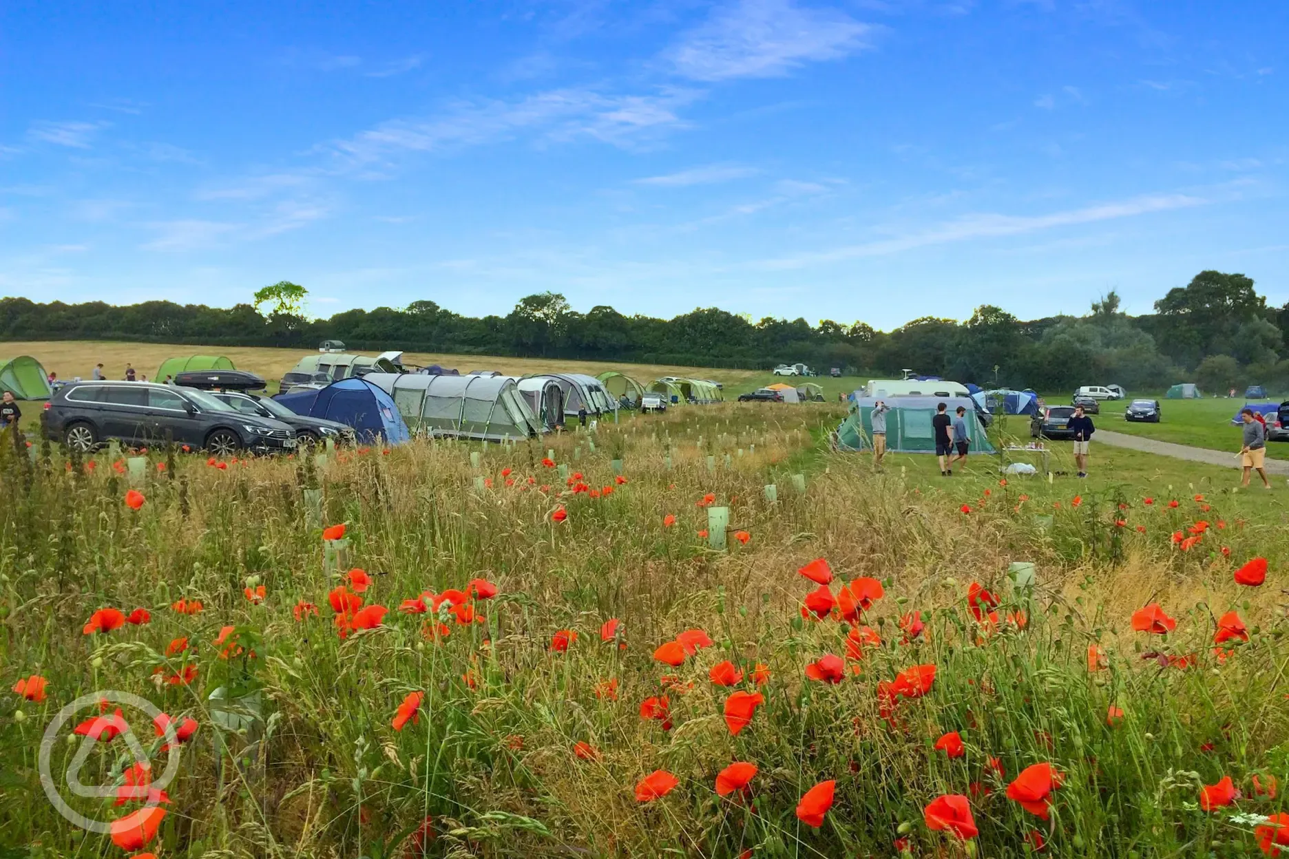 Grass pitches