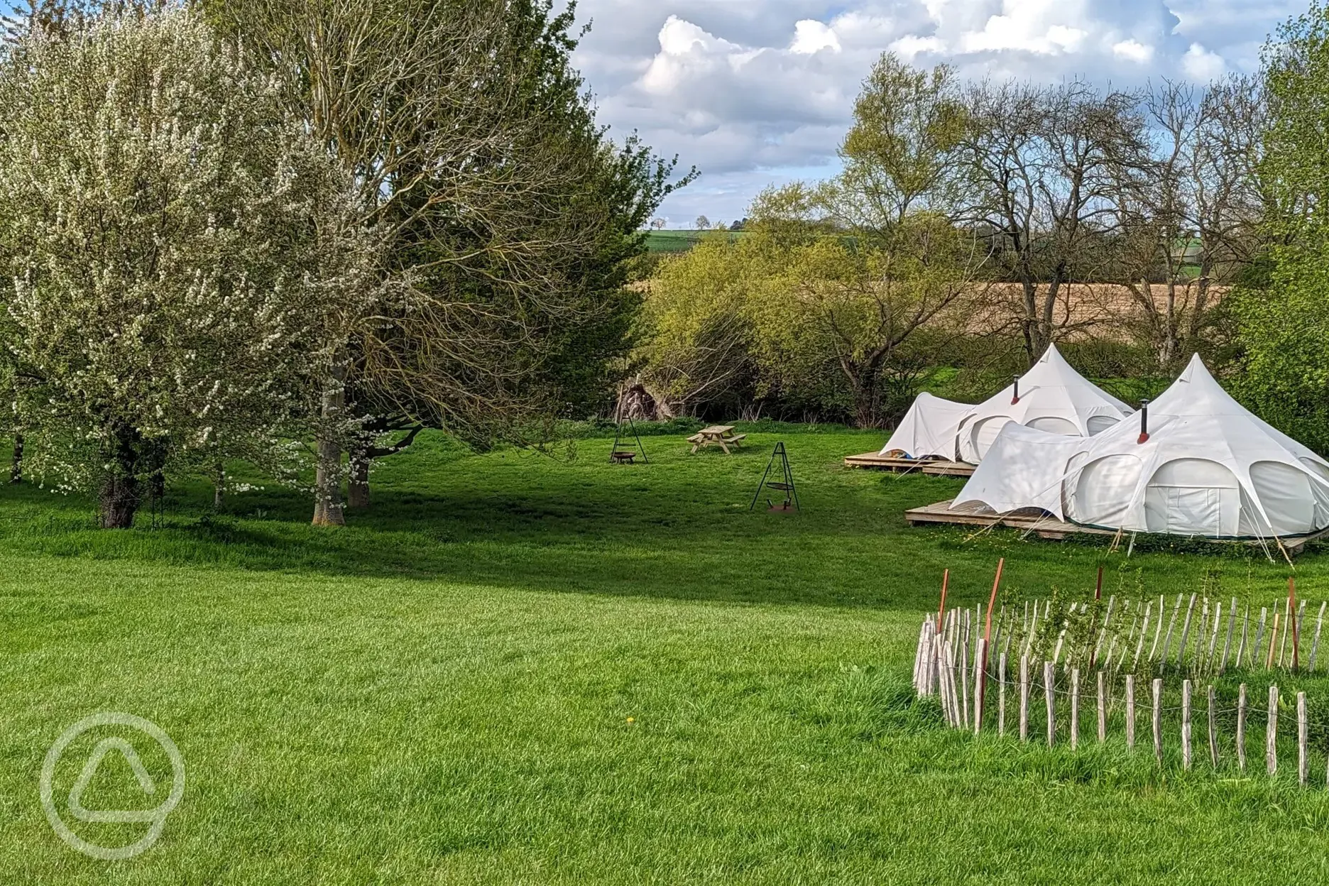 Lotus belle tents