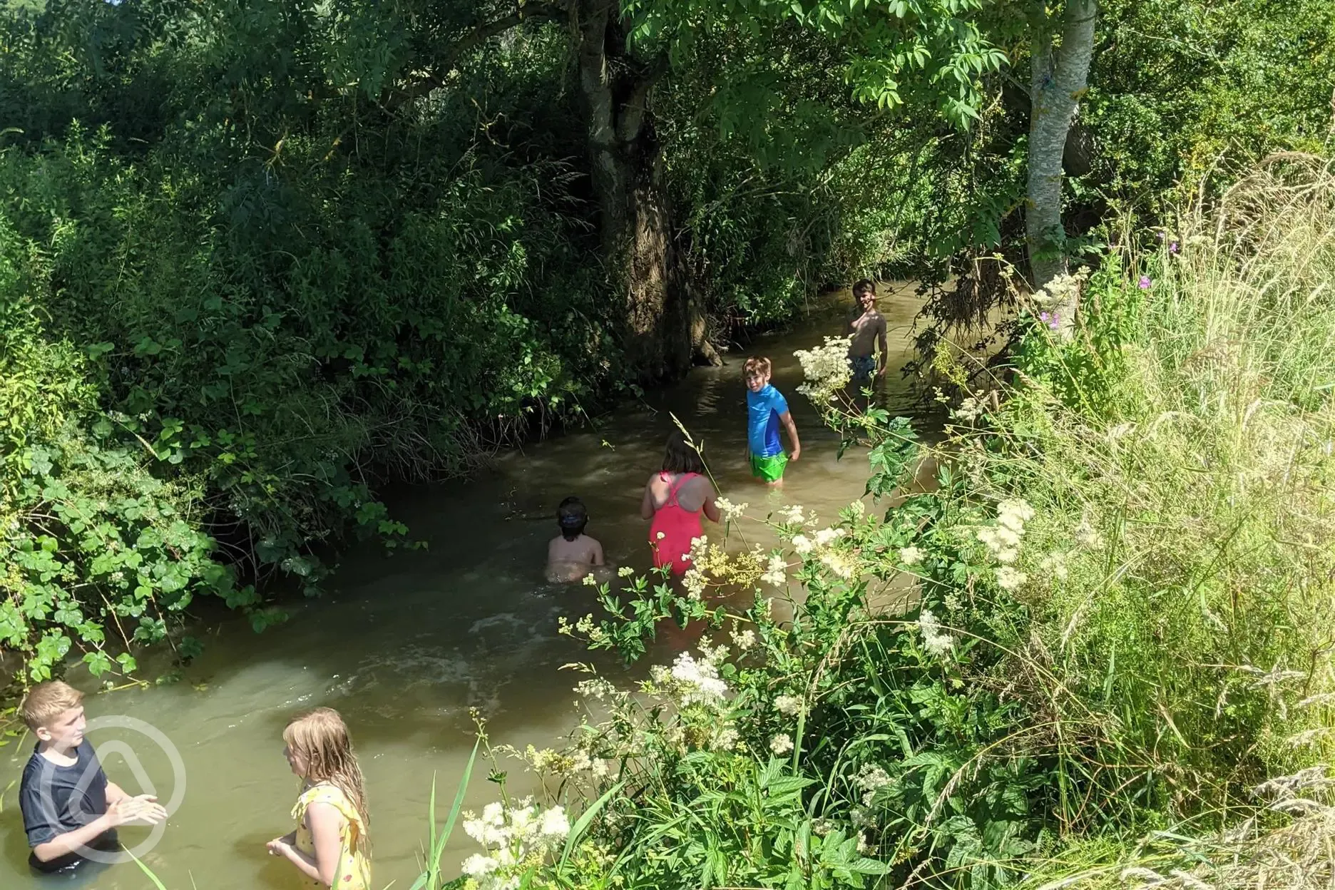 Wild swimming in the onsite river
