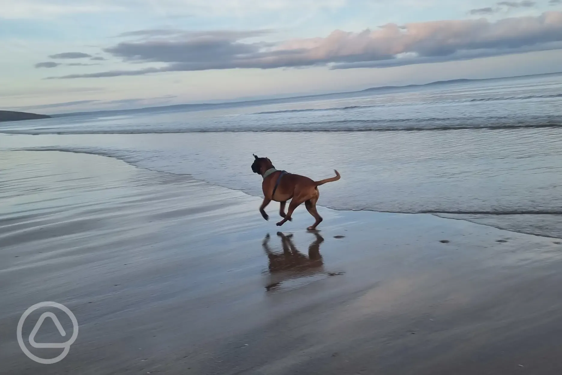 Dog friendly beach nearby