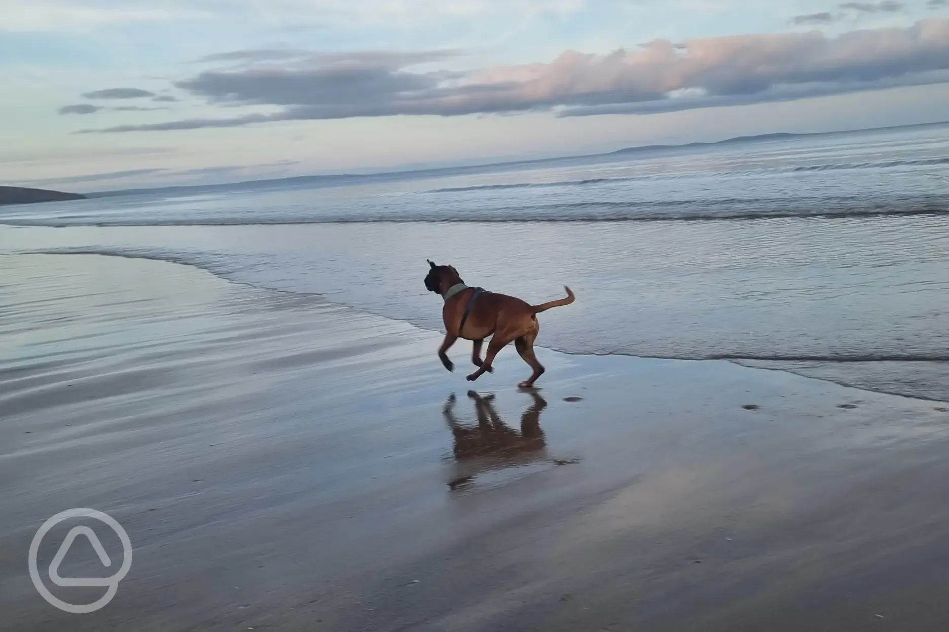 Dog friendly sandy beaches a short drive away
