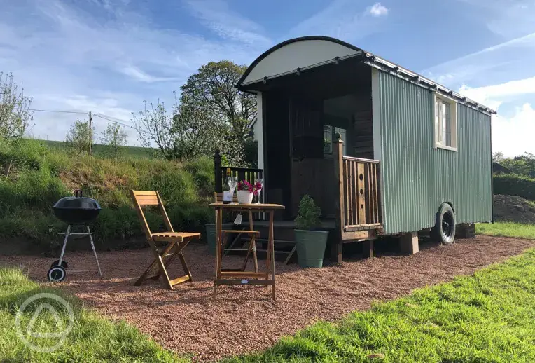Olive shepherd's hut