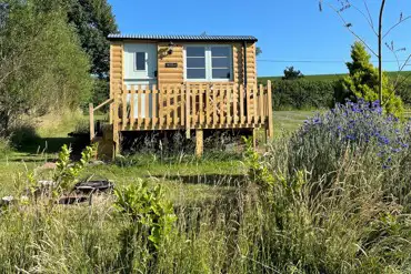 Willow shepherd's hut