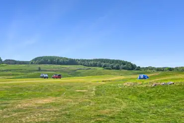 Grass pitches