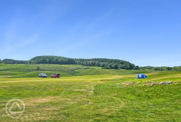 Grass pitches