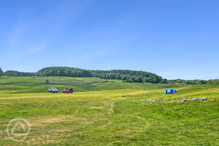 Grass pitches