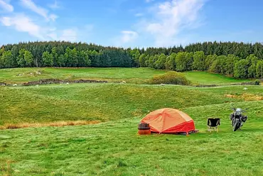 Grass pitches