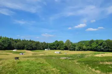 Grass pitches