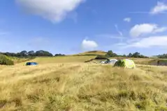 Non electric grass pitches set within long meadow grass