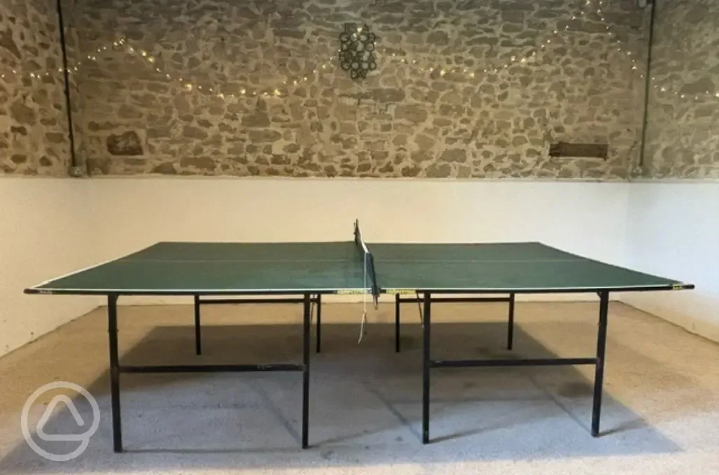 Table tennis table in the communal barn