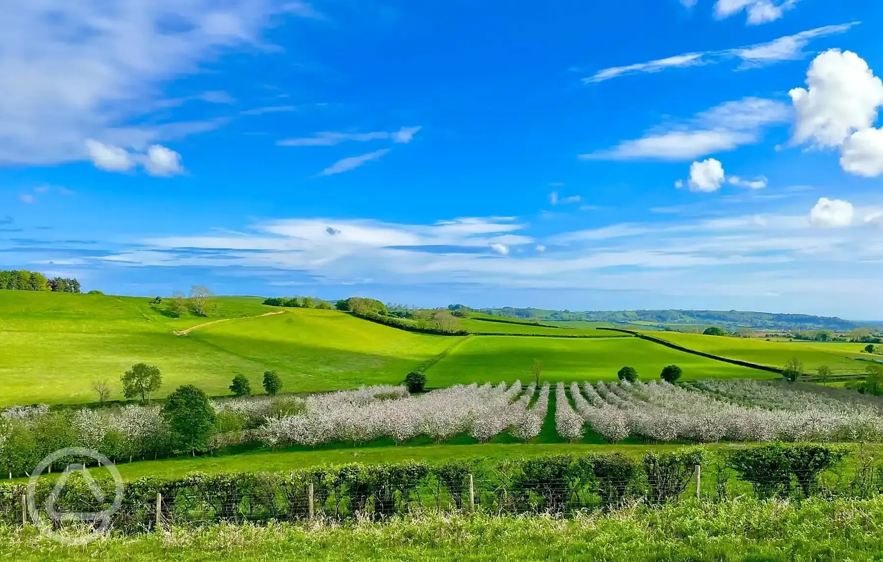 Orchard and countryside views