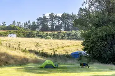 Non electric grass pitches