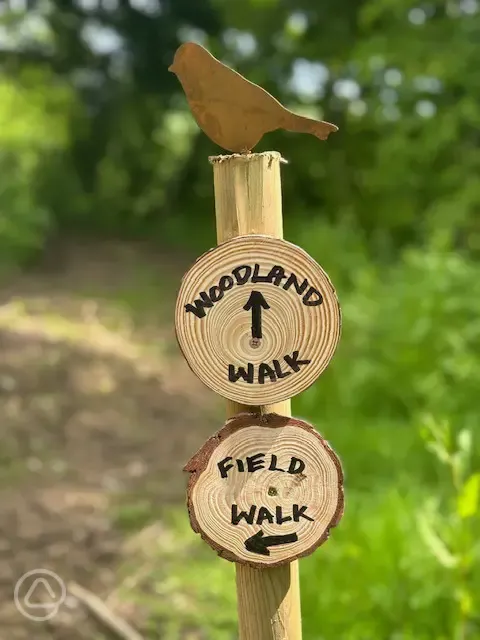 Woodland walk