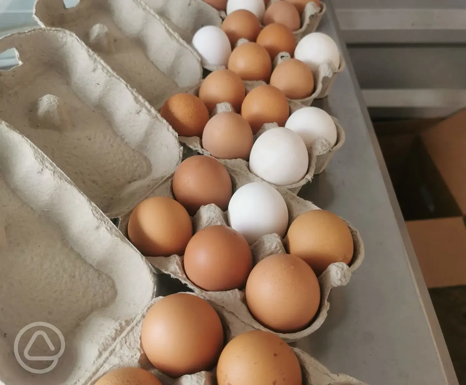 Onsite produce