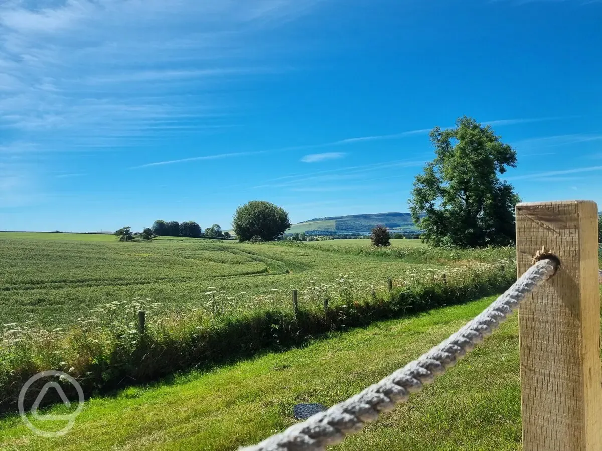 Views of the site