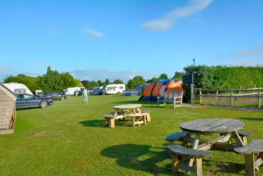 Grass pitches (8m x 5m) with 16 amp hook ups