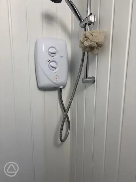 Electric shower