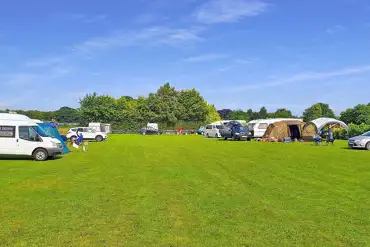 Electric grass pitches