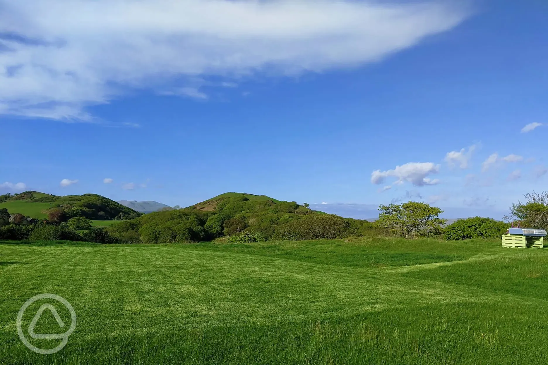 Large non electric grass pitch (Daisy) 