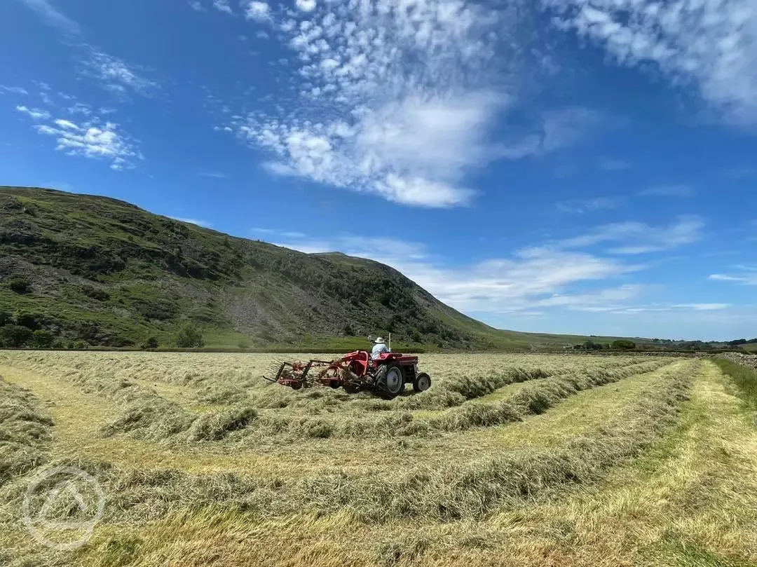 Farm setting