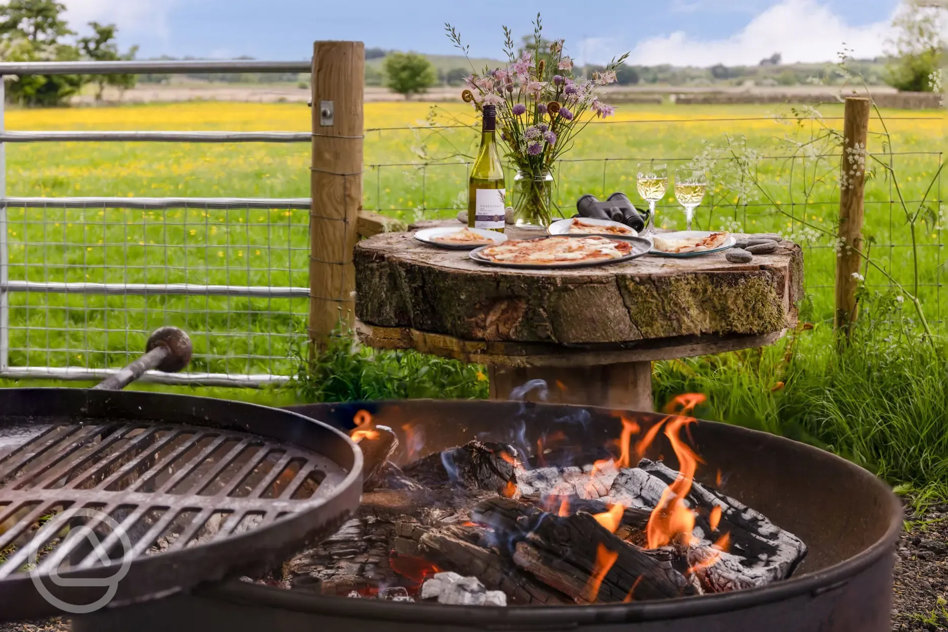 Fire pit and pizza oven