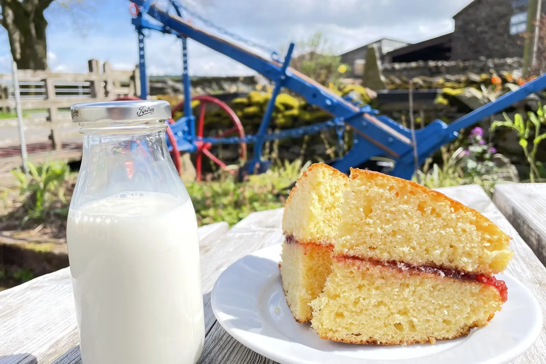 Homemade cake and fresh milk available