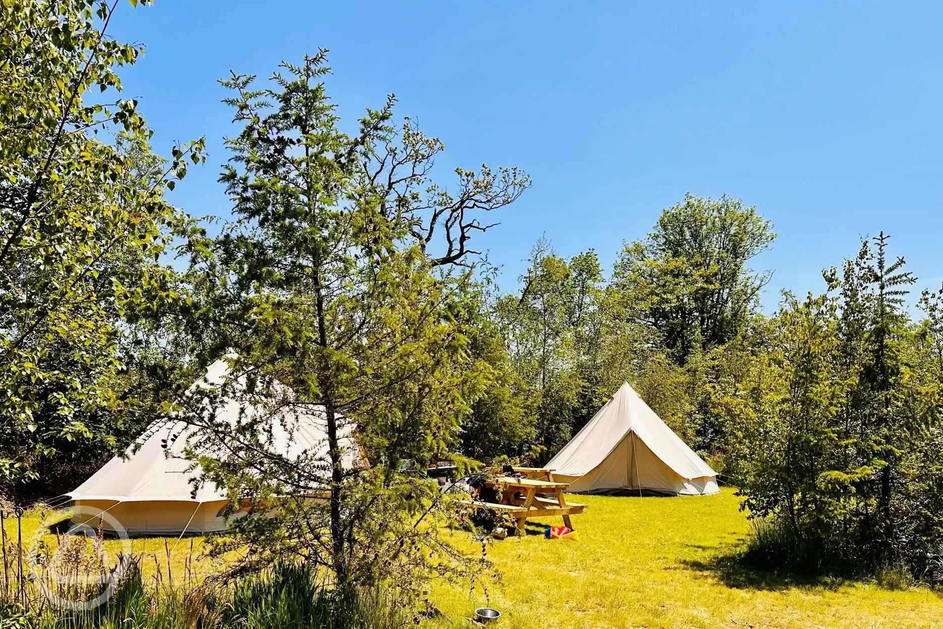 Bell Tents at Landsker Camping