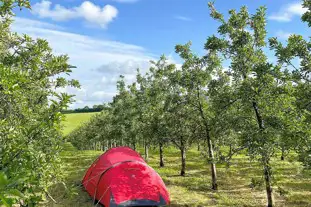 Orchard Lodge Camping, Crediton, Devon